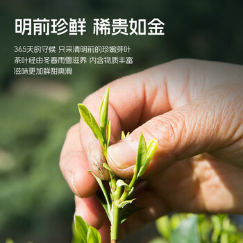 卢正浩绿茶上瘾明前老茶树龙井茶叶一级200g2026新茶纸包团购长辈送礼