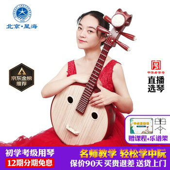 乐海中阮价格报价行情- 京东