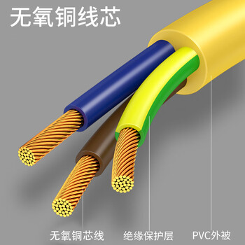 广昌兴（G.C.X）主机电源线 国标10A三插转C13 3*1.0平方1.5米黄色无氧铜芯3C认证适用于PDU连接服务器电源线
