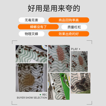 绿叶蟑螂屋蟑螂粘板10片家用蟑螂贴捕捉器2119ZZ