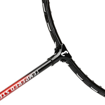 ENPEX乐士 羽毛球拍双拍休闲娱乐初学者737 对拍