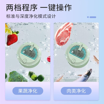 大宇（DAEWOO） 果蔬清洗机 家用全自动洗菜机 果蔬消毒卫士 肉类鱼虾果蔬净化神器 QX4 清新绿