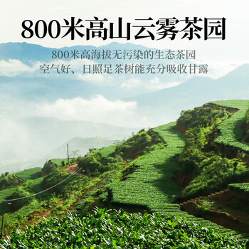 传奇会乌龙茶 安溪铁观音 清香型特级336g茶叶2026新茶礼盒装父亲节礼物