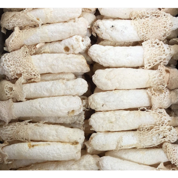 5折竹荪干货菇蕾新鲜球菇不开伞无裙500g竹笙菌菇无硫煲汤