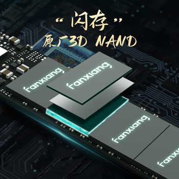 梵想（FANXIANG）256G SSD固态硬盘 M.2接口NVMe协议PCIe3.0 TLC颗粒 台式机笔记本电脑适用 S500