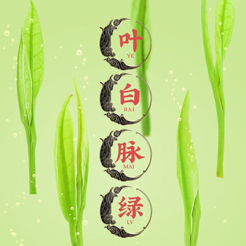 御兰堡（YALUMBA） 安吉白茶新茶绿茶嫩芽散装袋装250g袋装（包装随机） vi
