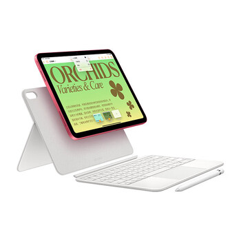 Apple iPad 10.9英寸平板电脑2022年款（256GB WLAN版/A14芯片/1200万像素/iPadOS MPQC3CH/A）粉色*企业专享