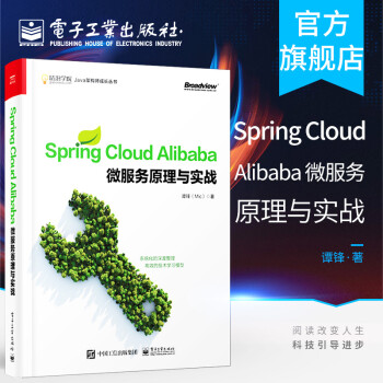 Spring Cloud Alibaba 微服务原理与实战  Java架构 微服务设计原理与架构