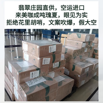 来美咖翡翠庄园绿标瑰夏挂耳咖啡粉10g*10袋茉莉金桔手冲美式黑咖啡