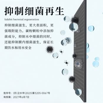 爱惠浦（Everpure）Insurice PF Single I20002净水器 无桶大流量-额定净水量1500L 矿物质水净水机