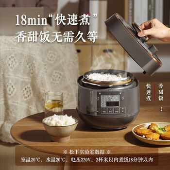 松下（Panasonic）电压力煲家用智能2L高压锅多功能迷你压力锅1-3人压力煲