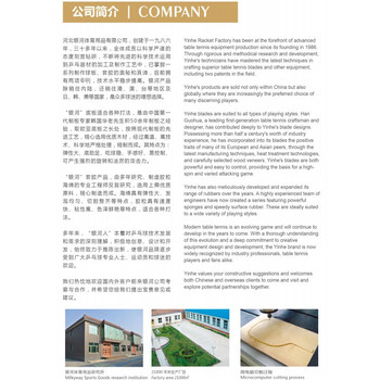 银河 乒乓球拍套拍包乒乓球包 8011 葫芦拍套 黑金