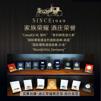 伊桐红酒值得购买吗？一起来看看它到底怎么样！