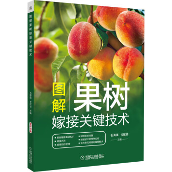 图解果树嫁接关键技术 果树栽培种植书籍