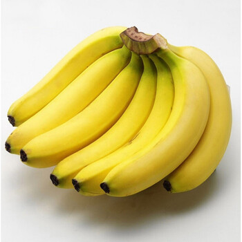 禧利郎香蕉海南三亚香蕉新鲜的水果皇帝蕉大香蕉芝麻蕉 2把9--10斤