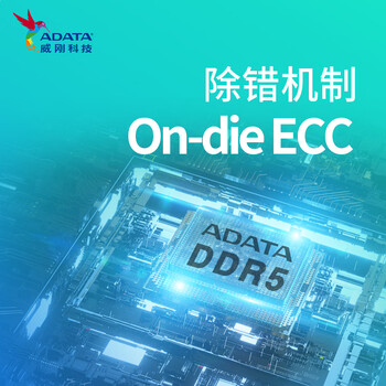 威刚（ADATA）8GB DDR5 5600 笔记本内存 万紫千红