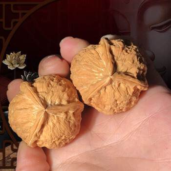 胡桃文玩　　铁核桃 铁核桃精品品牌及商品- 京东