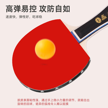 匹克乒乓球拍专业成人中小学生比赛训练横拍对拍套装含三只球