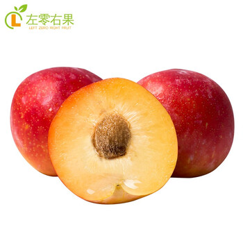 新鲜布林李子酸甜多汁恐龙蛋孕妇水果大李子 精选好果 1斤 珠宝李