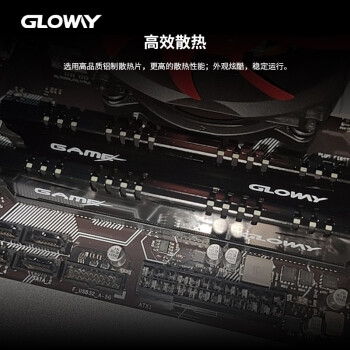 光威（Gloway）8GB DDR4 2666 台式机内存条 悍将系列