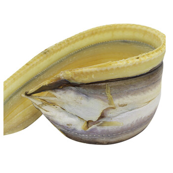 海鳗鱼干鳗鱼干风鳗鱼干鳗鳞鱼干咸鱼干海鲜干货大菜园500g