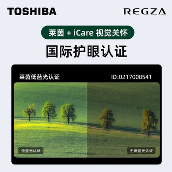东芝（TOSHIBA）电视65Z500MF 65英寸120Hz高刷高色域量子点 3+64GB 4K高清 液晶智能平板游戏电视机