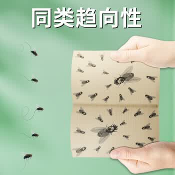 达豪粘蝇纸苍蝇贴灭蝇器诱捕器捕蝇粘蝇板加厚100张
