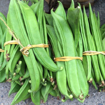 囧仙子新鲜嫩刀豆现摘刀芭豆扁豆大巴豆角九月当季蔬菜整箱 广西 1斤