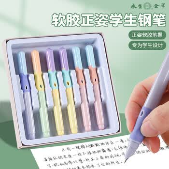 永生正姿钢笔正握笔姿势小学三年级专用初学者练字暗尖可换墨囊礼物  3413马卡龙色12支盒装