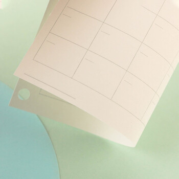 国誉(KOKUYO)B5活页纸Campus活页本替芯笔记本子活页纸内页 月计划阶梯页 20张1本 WCN-CLK1-MF