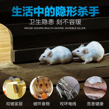 地依猫超声波驱鼠神器家用仓库防鼠患一窝锅端大功率驱鼠器灭鼠干扰器