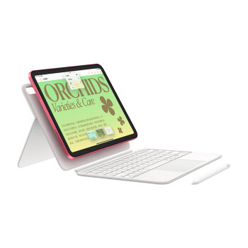 Apple/苹果 iPad(第 10 代)10.9英寸平板电脑 2022年款(256GB WLAN版/学习办公娱乐/MPQ93CH/A)蓝色