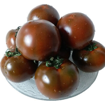 新鲜巧克力西红柿酸甜口感黑番茄有籽水果番茄生吃五斤