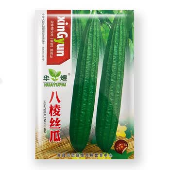 广冬千特华煜 八棱丝瓜 丝瓜种子 水丝瓜八棱瓜八角丝瓜种长丝瓜 高产