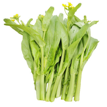 白菜苔新鲜2500g发顺丰青菜苔打霜菜心青菜薹菜心农家时令蔬菜 1000g