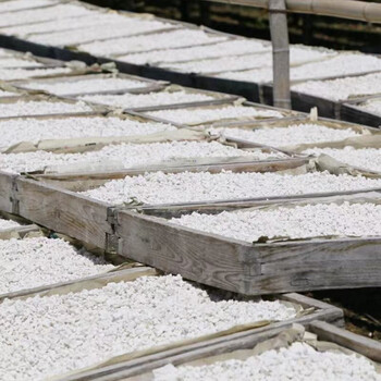 承天府纯正野生葛根粉4斤/罐湖北特产农家柴葛粉早餐五谷代餐粉 承天府纯正野生葛根粉4斤/罐湖北特产农家柴葛粉早餐五谷代餐粉