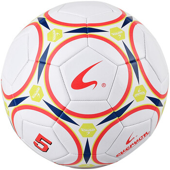 EVERVON 足球儿童成人训练标准 耐磨机缝足球 5号PVC足球 EFP5-883