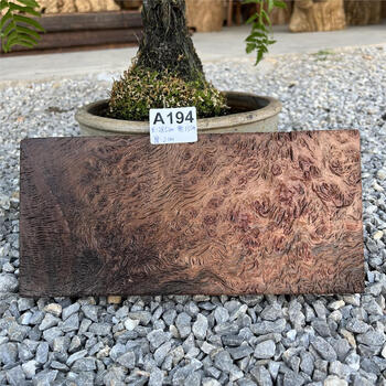 树瘤茶盘品牌及商品- 京东