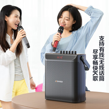 山水（SANSUI）E76户外k歌专用广场舞音响便携式移动大音量大功率唱歌音响露营声卡直播收款电木吉他民谣乐器音箱