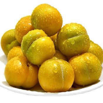 贵州六马蜂糖李子 新鲜应季水果脱骨李蜂蜜李 5斤【精选】 优选大果