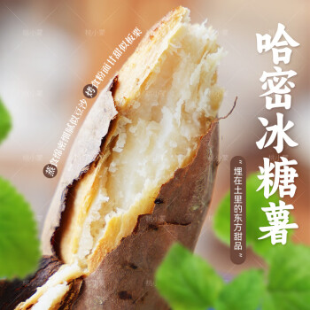 桃小蒙白心牛奶冰糖薯 山东新鲜地瓜白薯哈密薯生鲜番薯蜜薯红薯 4.5斤 中果3-8两