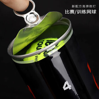 天龙(Teloon)网球比赛训练习用球高弹耐磨P4 TOUR pound 天龙(Teloon)网球比赛训练习用球高弹耐磨P4 TOUR pound
