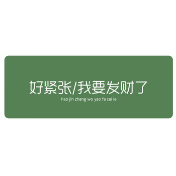 灵蛇（LINGSHE)鼠标垫800*300*2超大加厚学生办公电脑桌垫 创意简约文字 精密锁边  P106 我要发财