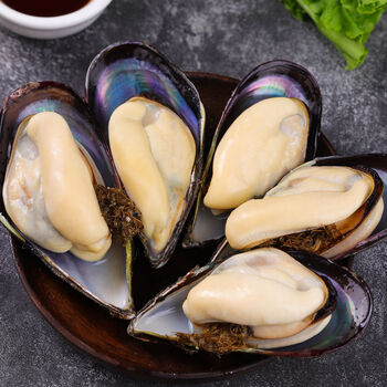 当天现捞海捕大青口贝鲜活海虹新鲜海贝海鲜水产贝壳烧烤5斤精品装1斤