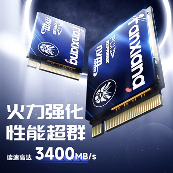 梵想（FANXIANG）1TB SSD固态硬盘 M.2接口NVMe协议PCIe3.0 2230小尺寸规格 电脑游戏机扩展硬盘S532