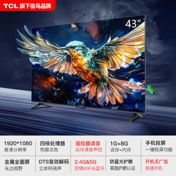 激安先着 TCL 55V型 液晶 テレビ - theceliacscene.com