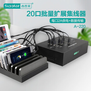 西普莱（SIPOLAR）usb分线器usb2.0集线器多接口集线器hub带电源 A-220 20口 单口2.1A 1.4米数据线