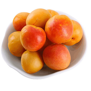 618活动崂山蜜杏顺丰发货青岛特产大红杏现摘甜杏子新鲜水果精选20枚
