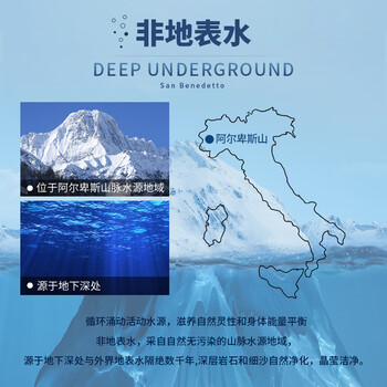 圣碧涛(San Benedetto)意大利进口 饮用天然水 1.5L*6气泡水 整箱装(新老包装交替发) 圣碧涛(San Benedetto)意大利进口 饮用天然水 1.5L*6气泡水 整箱装(新老包装交替发)