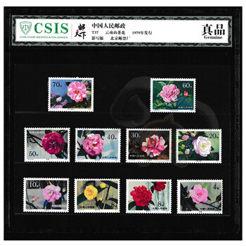 云南山茶花邮票品牌及商品- 京东